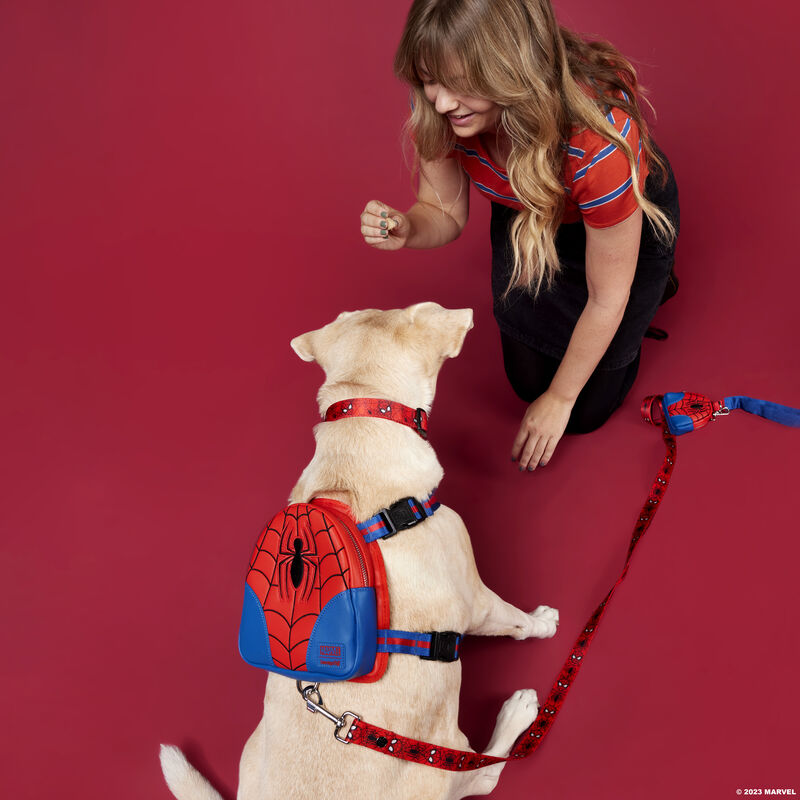 Image of woman with dog wearing the Spider-Man Mini Backpack Harness, leash, and collar
